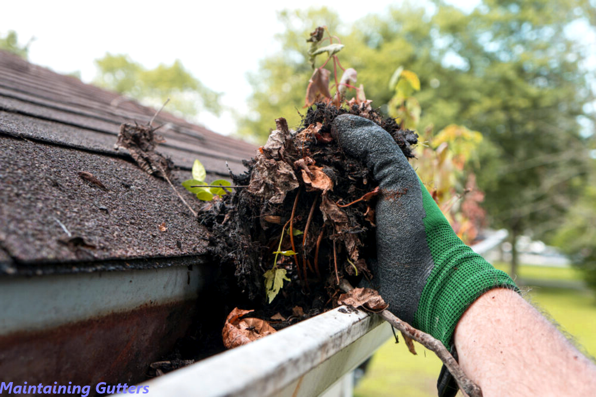 Essential Tips for Choosing and Maintaining Gutters